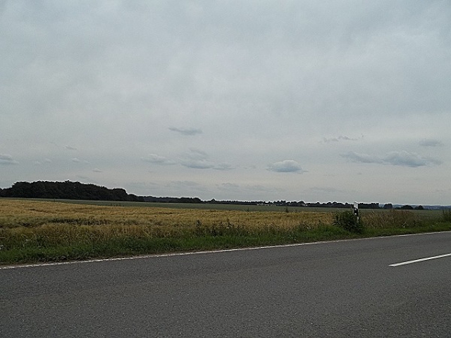 Bild