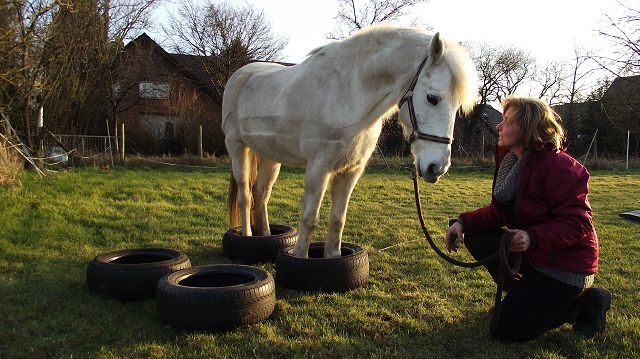 Bild